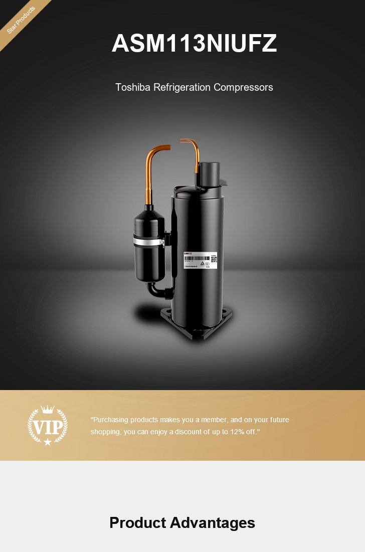 Toshiba Compressor ASM113NIUFZ, technical parameters pdf, structure diagram